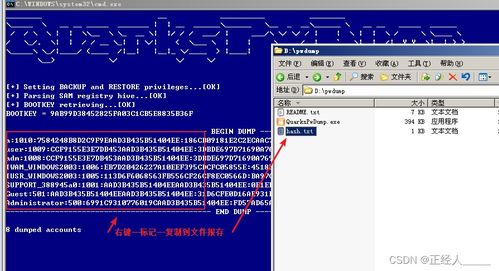 網(wǎng)絡(luò)安全必備 Kali Linux中掃描器與爆破工具的選用與實(shí)踐