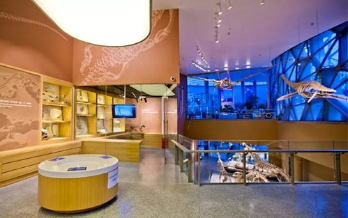 在上海自然博物館探尋自然的答案